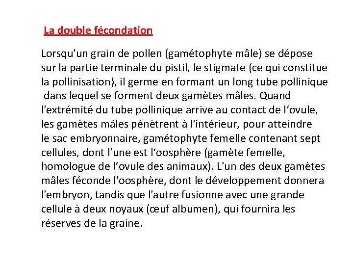 La double fécondation Lorsqu'un grain de pollen (gamétophyte mâle) se dépose sur la partie