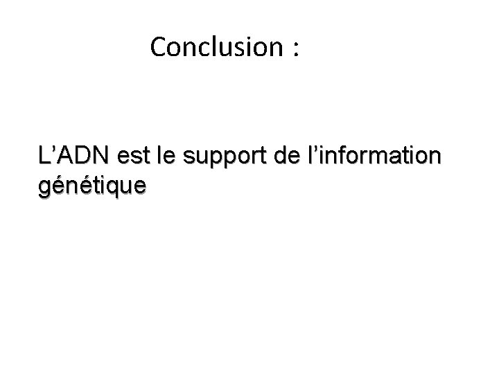 Conclusion : L’ADN est le support de l’information génétique 