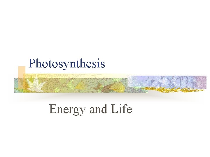 Photosynthesis Energy and Life 