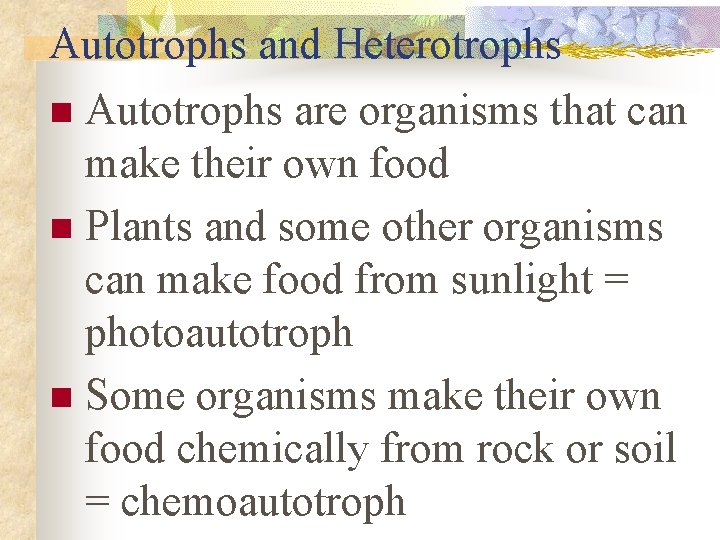 Autotrophs and Heterotrophs Autotrophs are organisms that can make their own food n Plants