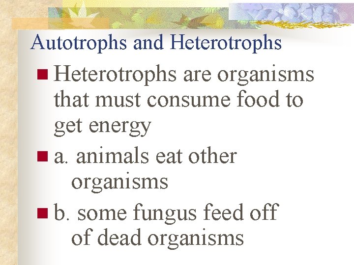 Autotrophs and Heterotrophs n Heterotrophs are organisms that must consume food to get energy Autotrophs and Heterotrophs n Heterotrophs are organisms that must consume food to get energy
