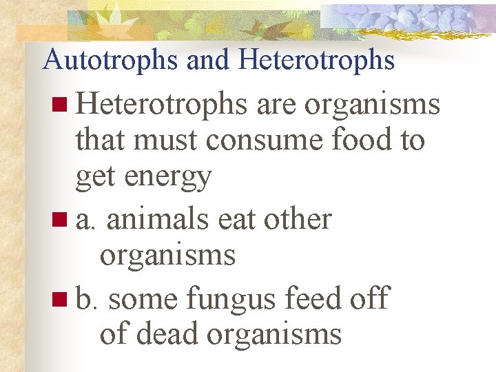 Autotrophs and Heterotrophs n Heterotrophs are organisms that must consume food to get energy