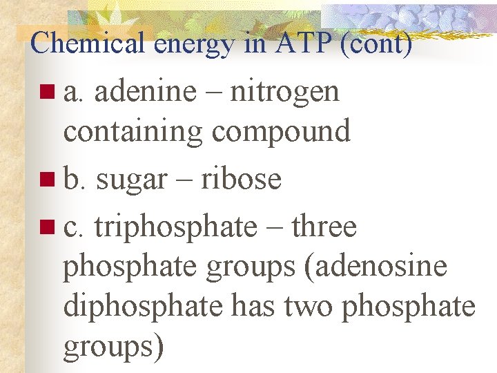 Chemical energy in ATP (cont) n a. adenine – nitrogen containing compound n b.