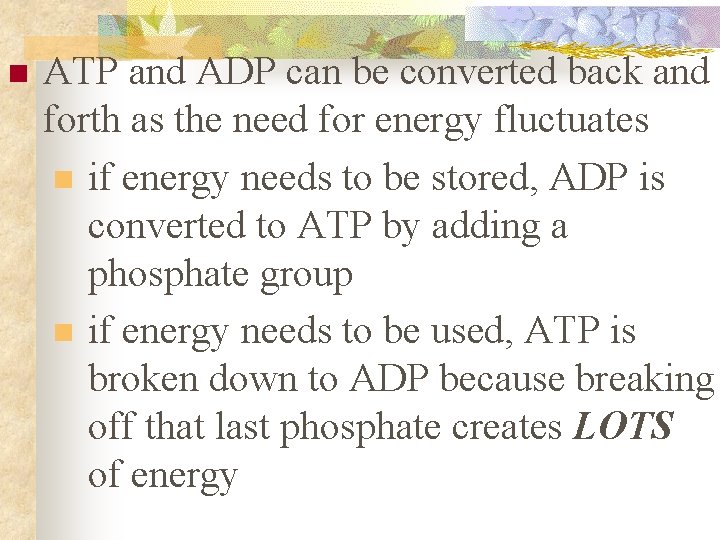n ATP and ADP can be converted back and forth as the need for