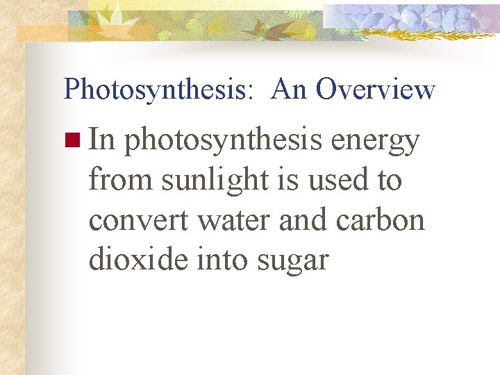 Photosynthesis: An Overview n In photosynthesis energy from sunlight is used to convert water
