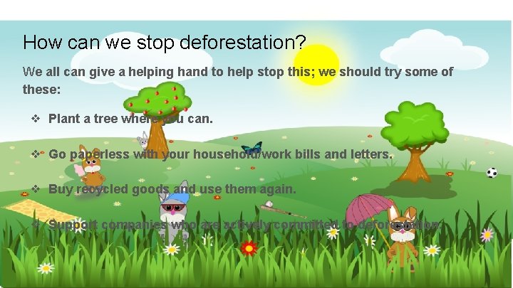 How can we stop deforestation? We all can give a helping hand to help