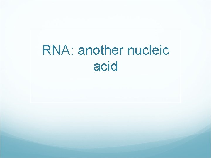 RNA: another nucleic acid 