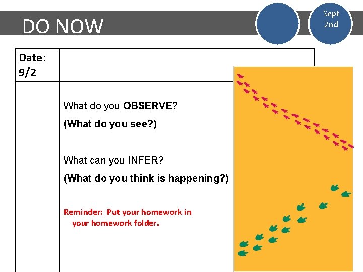 DO NOW Date: 9/2 What do you OBSERVE? (What do you see? ) What