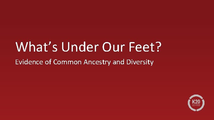 What’s Under Our Feet? Evidence of Common Ancestry and Diversity 