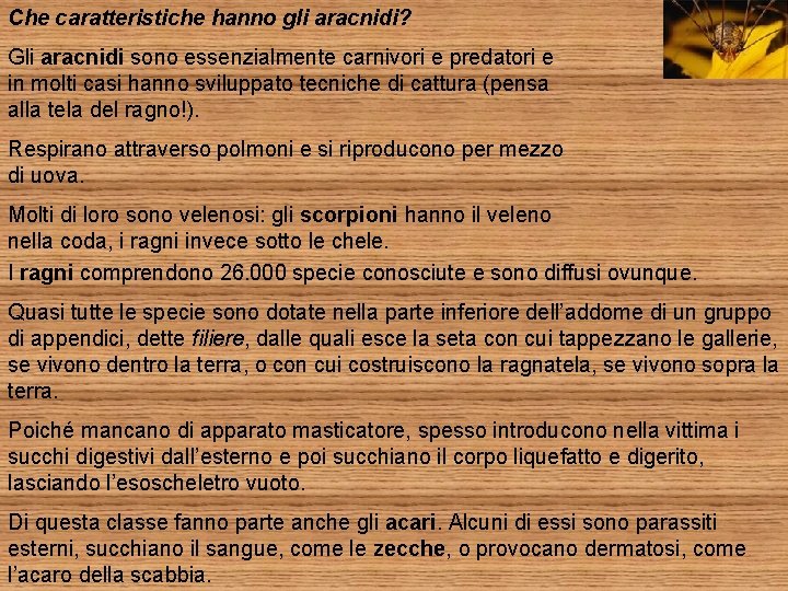 Che caratteristiche hanno gli aracnidi? Gli aracnidi sono essenzialmente carnivori e predatori e in