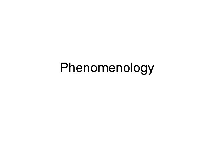 Phenomenology 