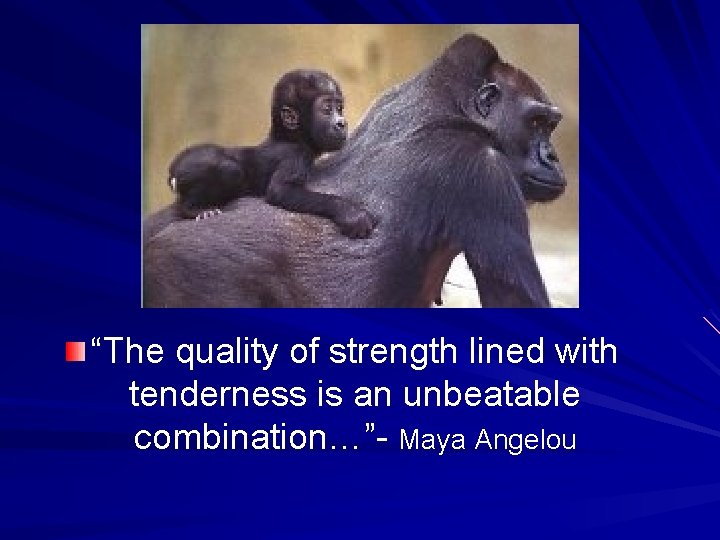 “The quality of strength lined with tenderness is an unbeatable combination…”- Maya Angelou 