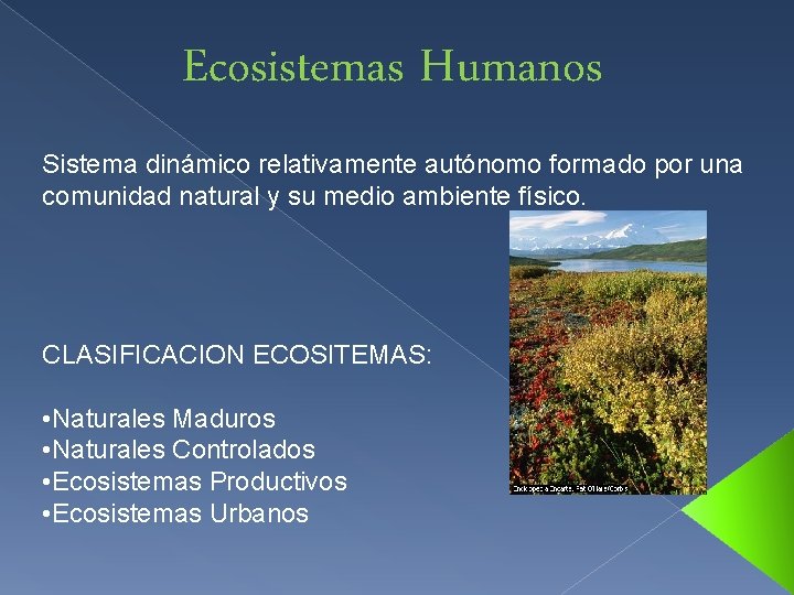 Ecosistemas Humanos Sistema dinámico relativamente autónomo formado por una comunidad natural y su medio