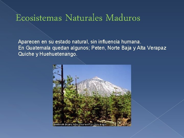 Ecosistemas Naturales Maduros Aparecen en su estado natural, sin influencia humana. En Guatemala quedan