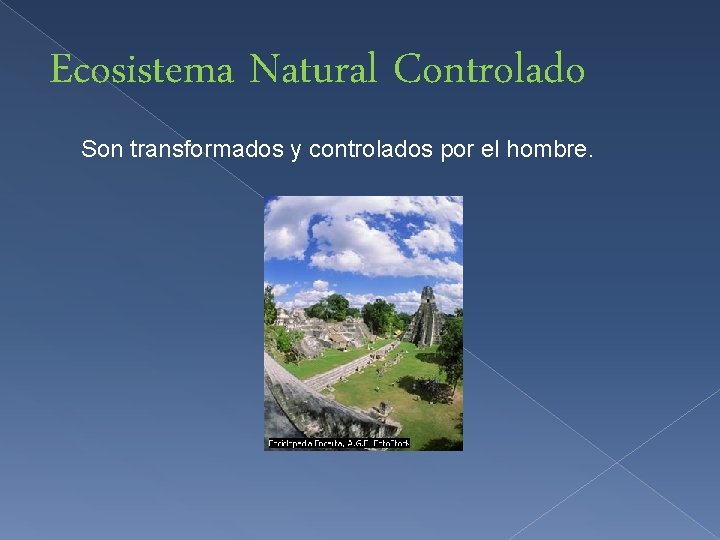 Ecosistema Natural Controlado Son transformados y controlados por el hombre. 