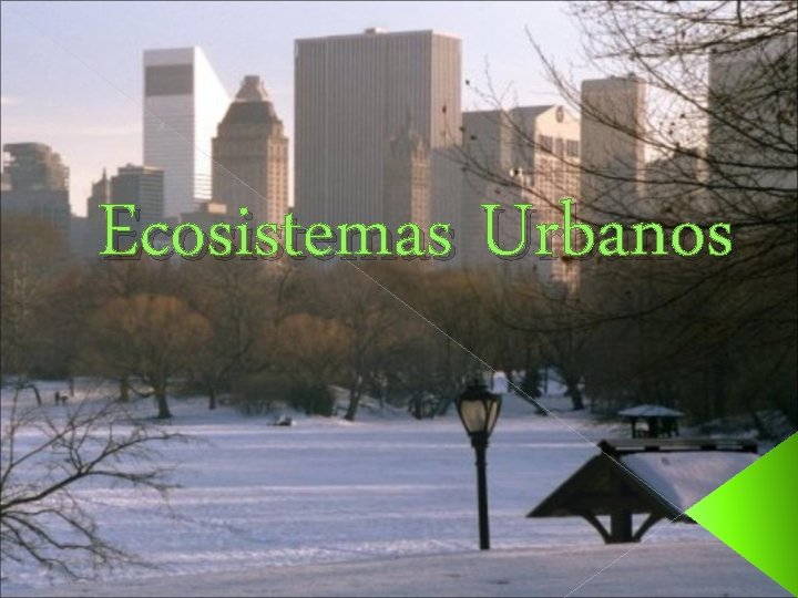 Ecosistemas Urbanos 