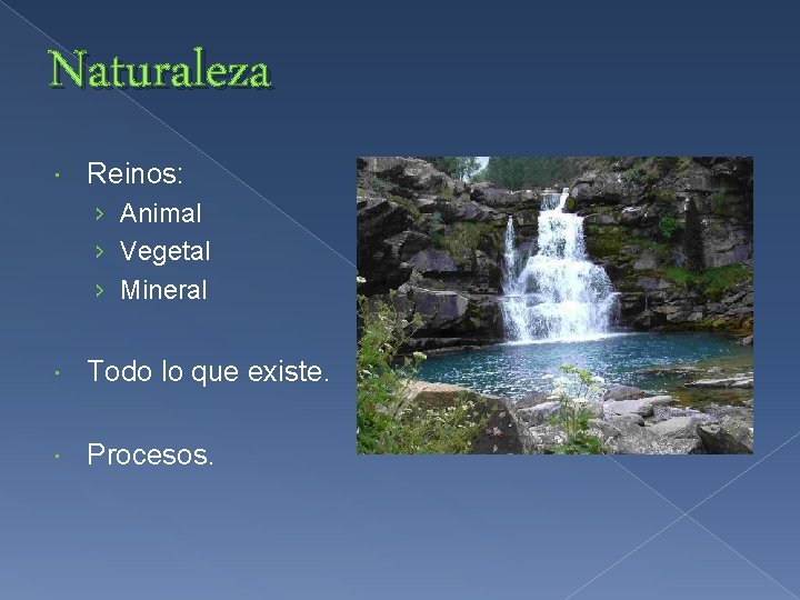 Naturaleza Reinos: › Animal › Vegetal › Mineral Todo lo que existe. Procesos. 