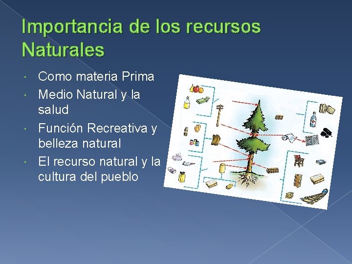 Importancia de los recursos Naturales Como materia Prima Medio Natural y la salud Función