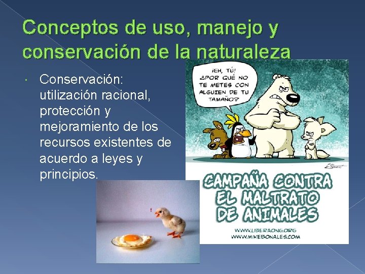 Conceptos de uso, manejo y conservación de la naturaleza Conservación: utilización racional, protección y
