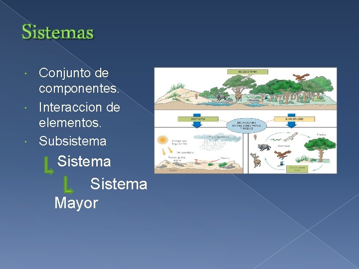 Sistemas Conjunto de componentes. Interaccion de elementos. Subsistema Sistema Mayor 