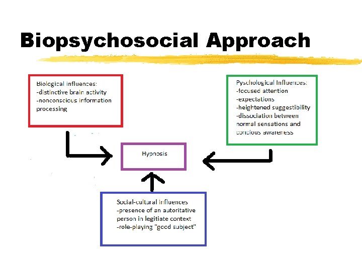 Biopsychosocial Approach 