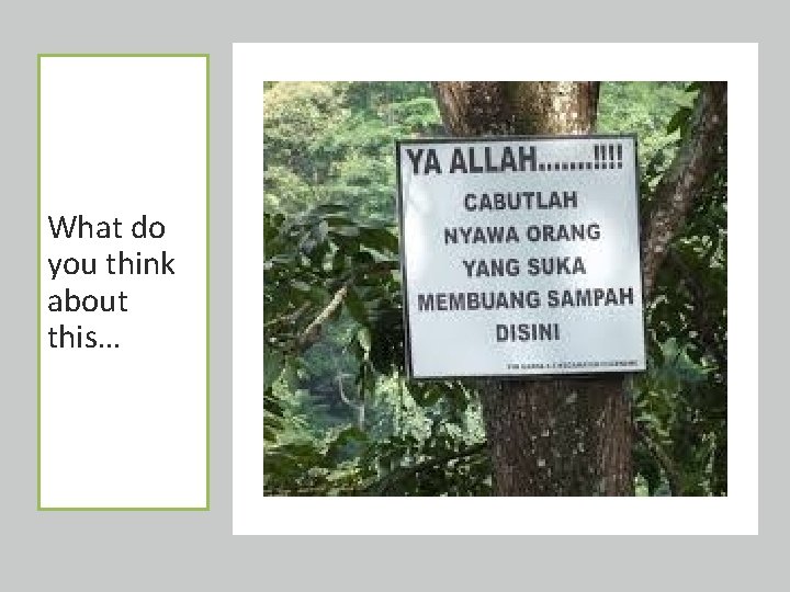 What do you think about this… 