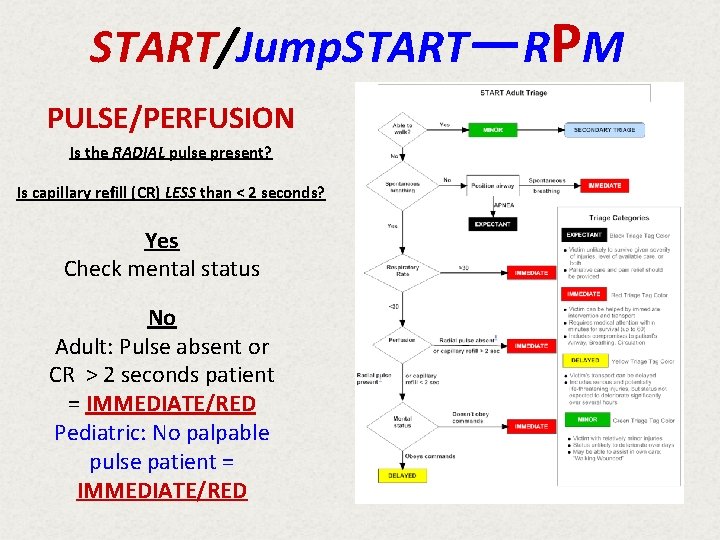 START/Jump. START—RPM PULSE/PERFUSION Is the RADIAL pulse present? Is capillary refill (CR) LESS than