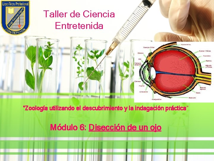 Taller de Ciencia Entretenida “Zoología utilizando el descubrimiento y la indagación práctica” Módulo 6: