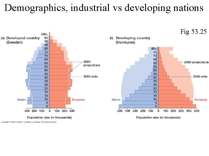 Demographics, industrial vs developing nations Fig 53. 25 