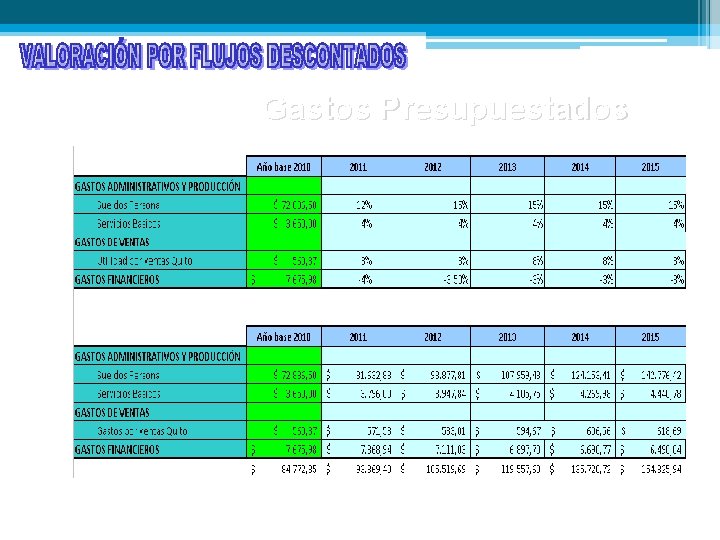 Gastos Presupuestados 