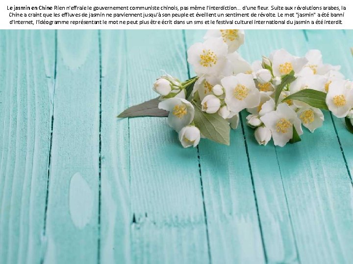 Le jasmin en Chine Rien n'effraie le gouvernement communiste chinois, pas même l'interdiction. .
