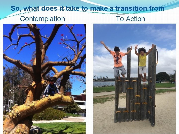 So, what does it take to make a transition from Contemplation To Action 