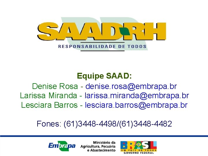 Equipe SAAD: Denise Rosa - denise. rosa@embrapa. br Larissa Miranda - larissa. miranda@embrapa. br