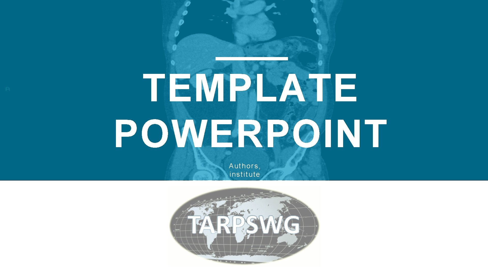 3 TEMPLATE POWERPOINT Authors, institute 
