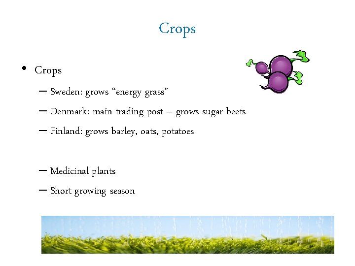 Crops • Crops – Sweden: grows “energy grass” – Denmark: main trading post –