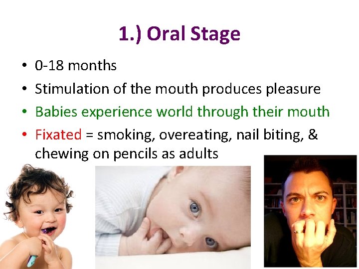 1. ) Oral Stage • • 0 -18 months Stimulation of the mouth produces