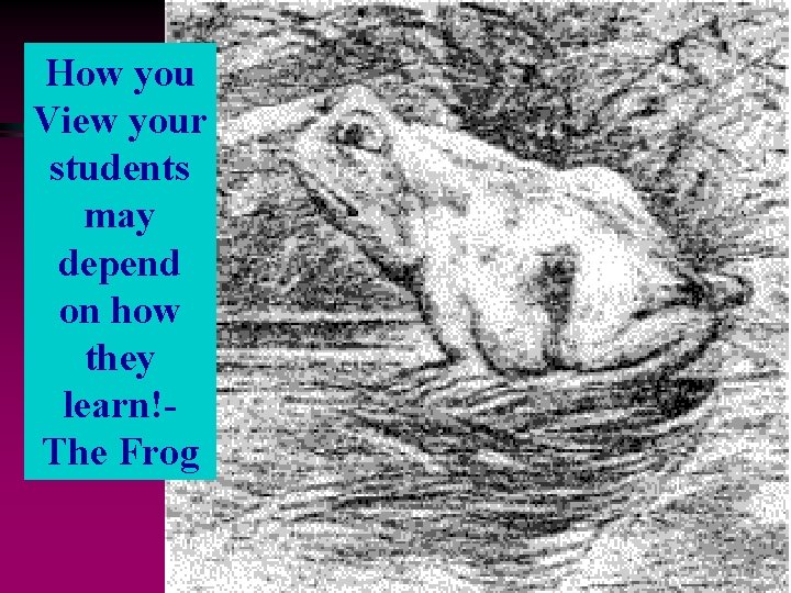 How you View your students may depend on how they learn!The Frog 