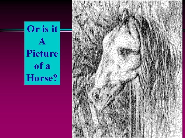 Or is it A Picture of a Horse? 