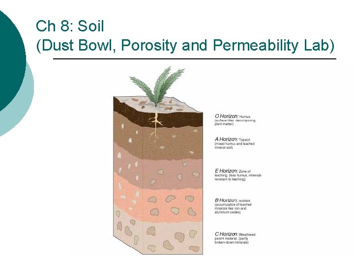 Ch 8: Soil (Dust Bowl, Porosity and Permeability Lab) 