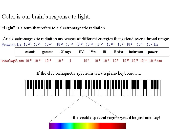 Color is our brain’s response to light. “Light” is a term that refers to