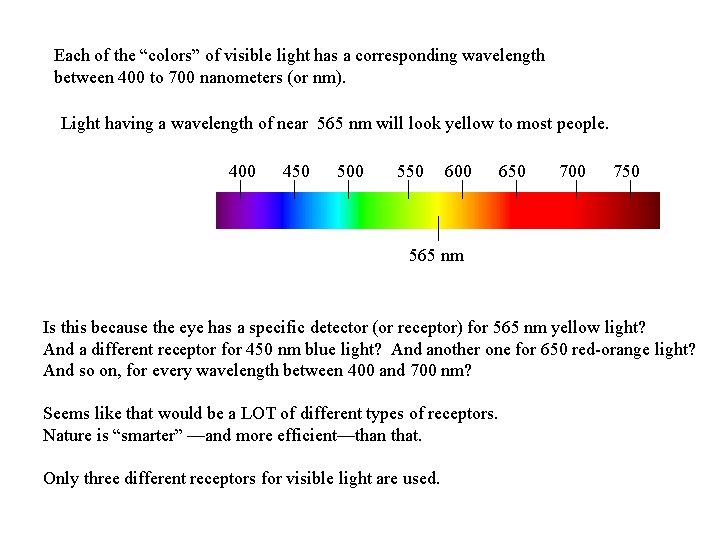 Each of the “colors” of visible light has a corresponding wavelength between 400 to