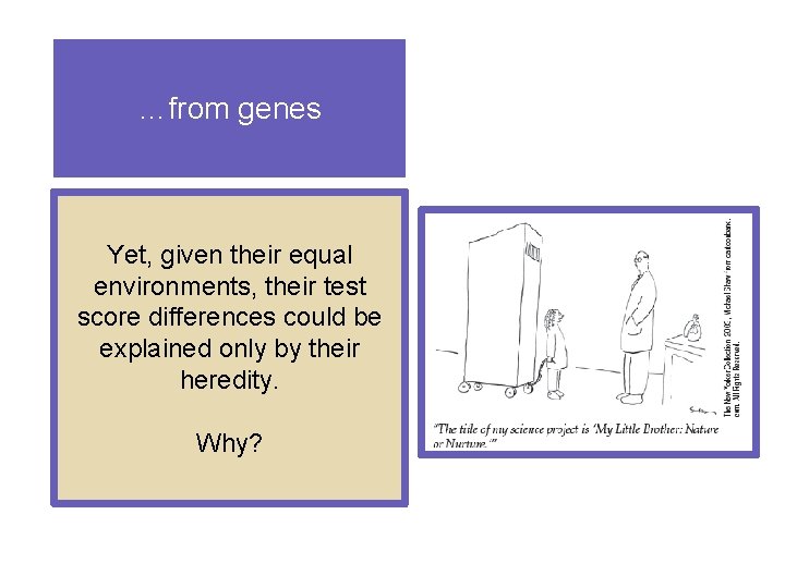 …from genes Yet, given their equal environments, their test score differences could be explained