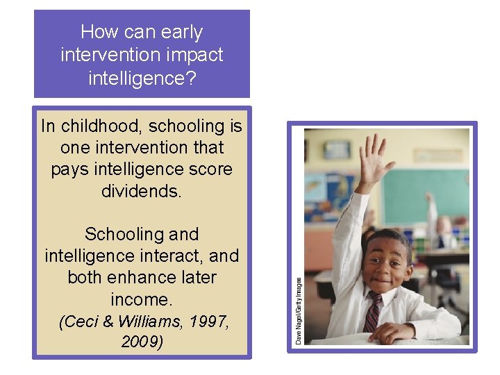 How can early intervention impact intelligence? In childhood, schooling is one intervention that pays