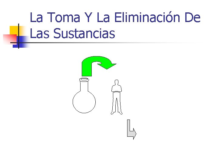 La Toma Y La Eliminación De Las Sustancias 