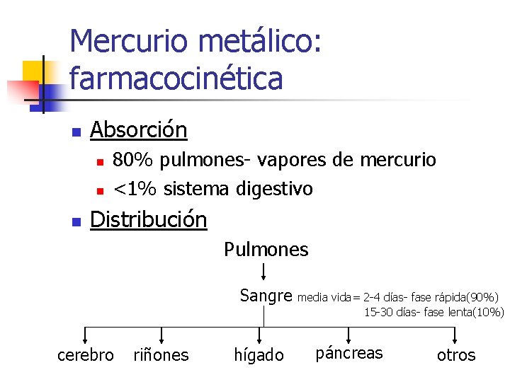 Mercurio metálico: farmacocinética n Absorción n 80% pulmones- vapores de mercurio <1% sistema digestivo