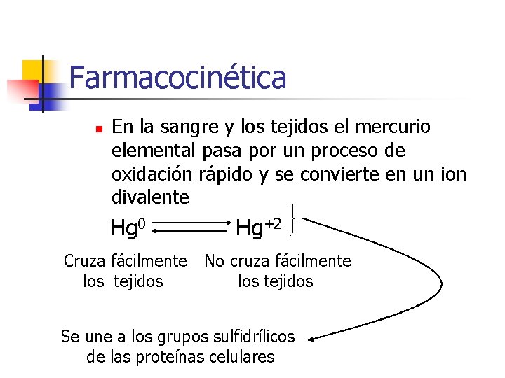 Farmacocinética n En la sangre y los tejidos el mercurio elemental pasa por un