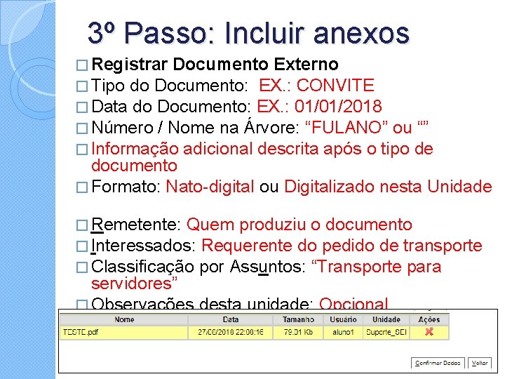 3º Passo: Incluir anexos � Registrar Documento Externo � Tipo do Documento: EX. :