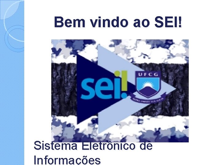 Bem vindo ao SEI! Sistema Eletrônico de Informações 