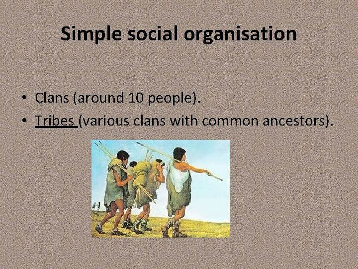 Simple social organisation • Clans (around 10 people). • Tribes (various clans with common Simple social organisation • Clans (around 10 people). • Tribes (various clans with common