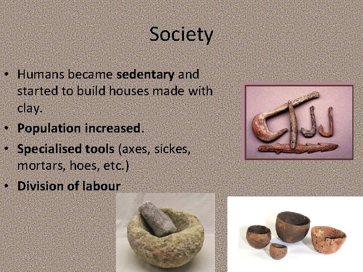 Society • Humans became sedentary and started to build houses made with clay. • Society • Humans became sedentary and started to build houses made with clay. •